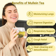 Load image into Gallery viewer, Ginseng Five Treasures Kidney Tea, Traditional Chinese Herbal TeaBags, Natural Kidney Cleanse Detox Tea for Women & Men, 7 Precious Ingredients Formula(1 Pack/25 Bags)